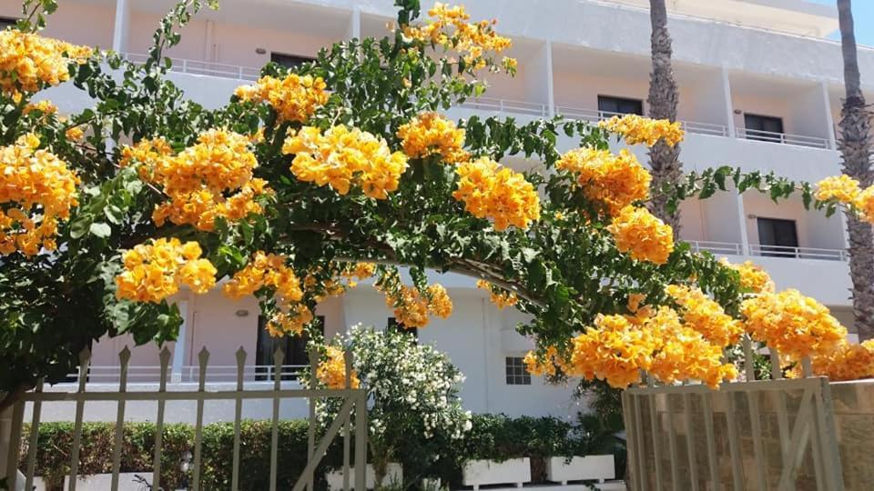 Kardamena Holiday Apartments Buitenkant foto