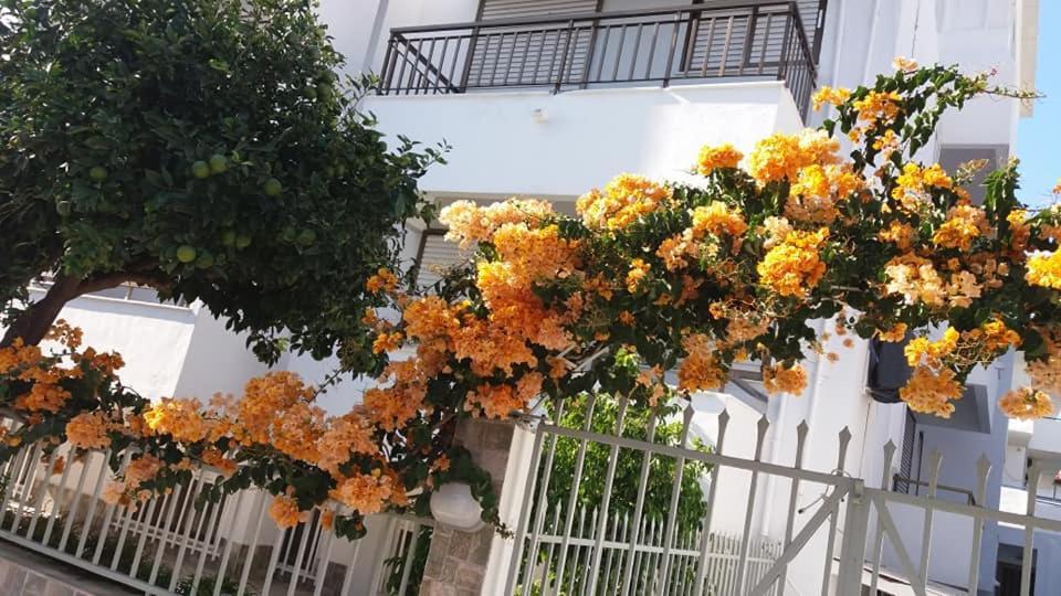 Kardamena Holiday Apartments Buitenkant foto